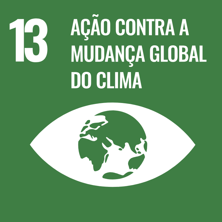 Sustainable Development Goal 13 - Climate Action