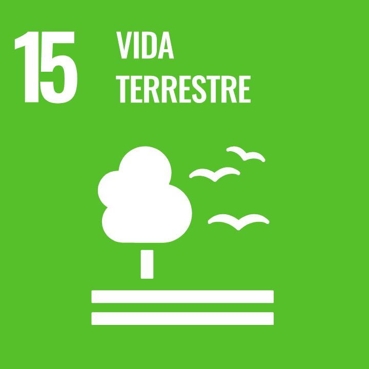 Sustainable Development Goal 15 - Life on Land