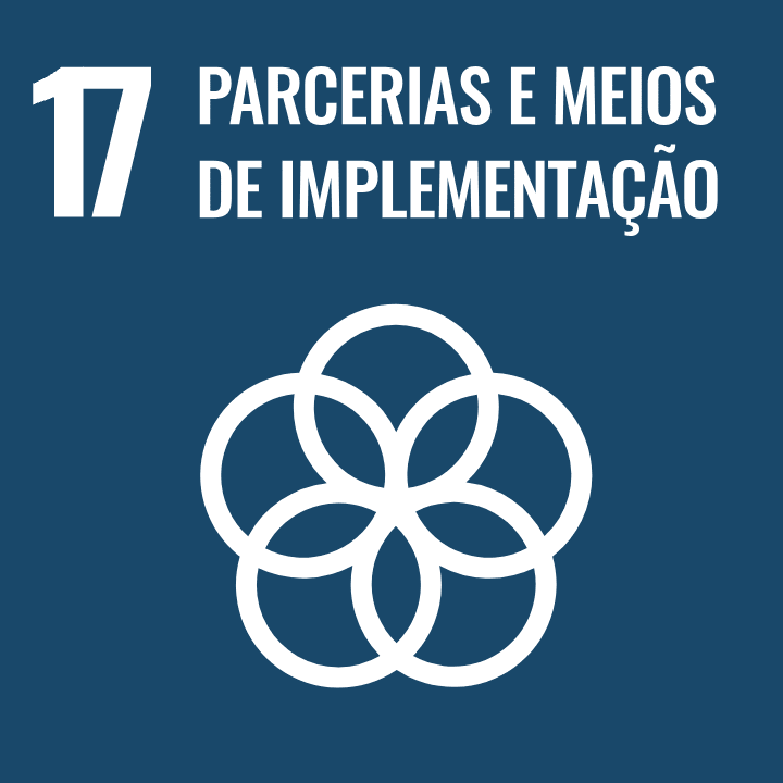 Sustainable Development Goal 17 - Partnerships for the Goals